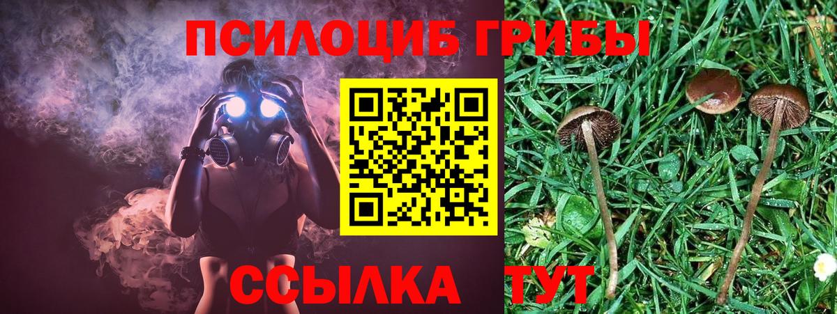 Псилоцибиновые грибы GOLDEN TEACHER  где можно купить наркотик  Коммунар  Вход с VPN  Псилоцибиновые грибы Magic Shrooms 